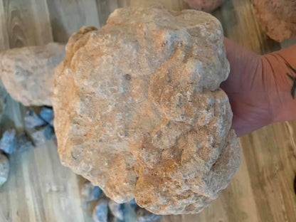 Private Listing for KRISTA ABAC ORDONEZ